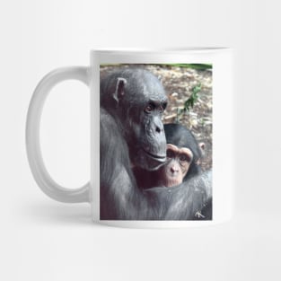 Chimpanzees Mug